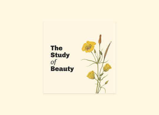 An Instagram post that reads, “The Study of Beauty,” beside a 20th century watercolor study of yellow wildflowers